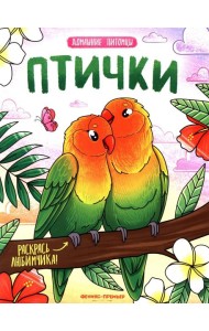 Птички: книжка-раскраска