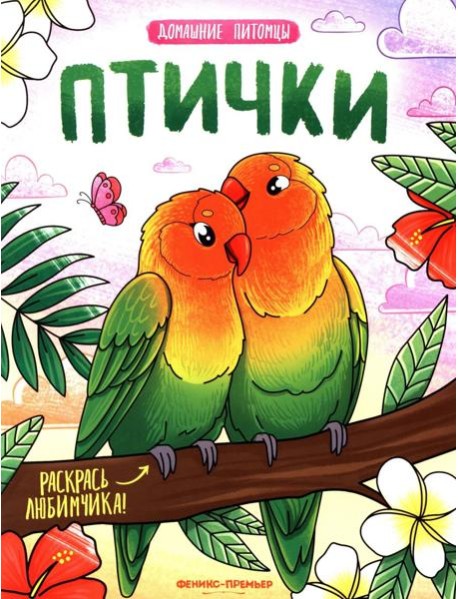 Птички: книжка-раскраска