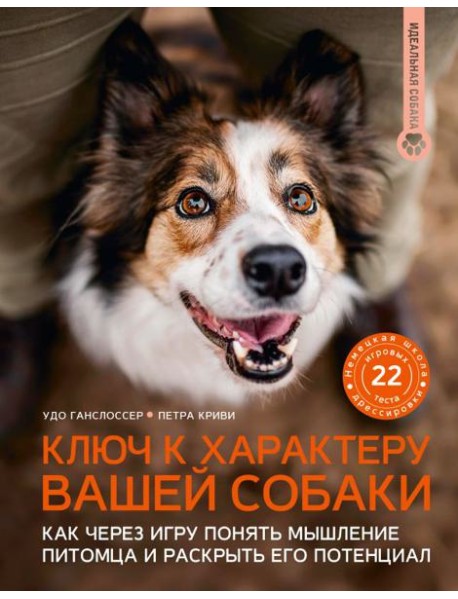 Ключ к характеру вашей собаки: как через игру понять мышление питомца и раскрыть его потенциал