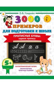 Прописные буквы: первые прописи