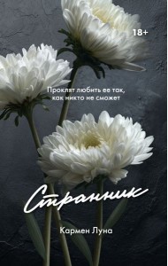 Странник: роман