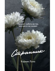 Странник: роман