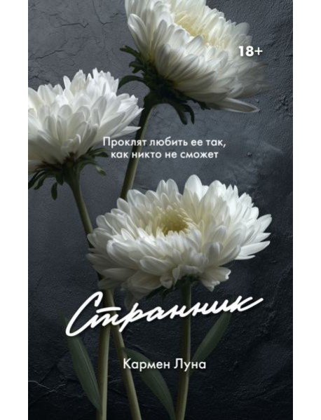 Странник: роман