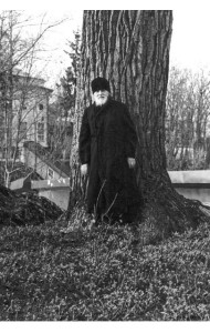 Радовать и радоваться. Практические советы архимандрита Иоанна (Крестьянкина). 7-е изд