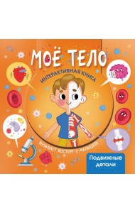 Мое тело. Интерактивная книга с подвижными элементами