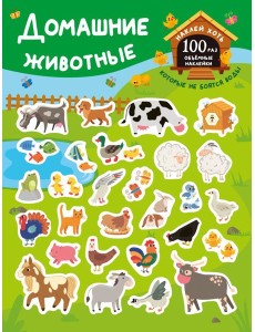 Домашние животные