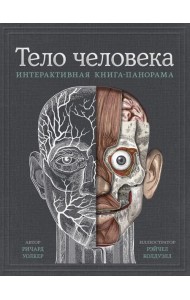 МИФ. Детство 5-12/Тело человека. Интерактивная книга-панорама