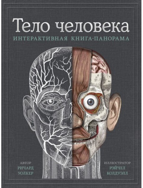 МИФ. Детство 5-12/Тело человека. Интерактивная книга-панорама