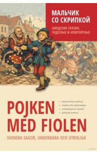 Мальчик со скрипкой. Шведские сказки, чудесные и невероятные