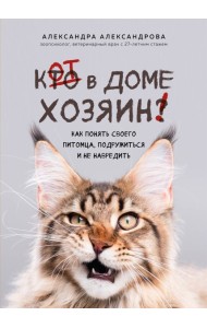 Кот в доме хозяин! Как понять своего питомца, подружиться и не навредить (новое оформление)