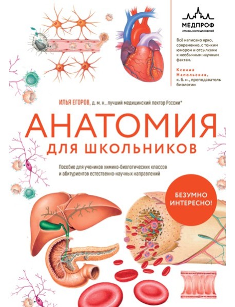 Анатомия для школьников. Пособие для учеников химико-биологических классов и абитуриентов естественно-научных направлений