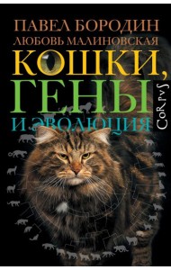 Кошки, гены и эволюция
