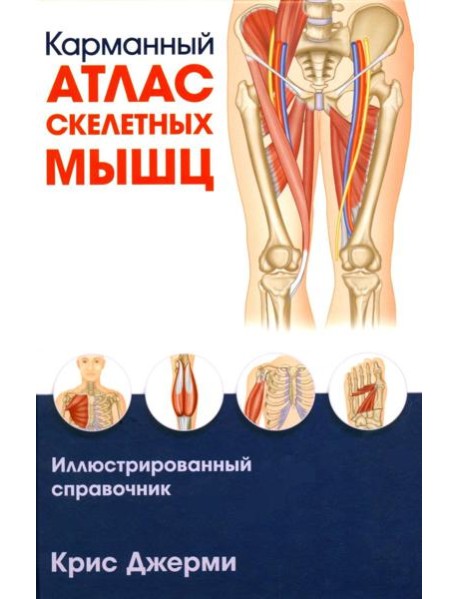 Карманный атлас скелетных мышц: Иллюстрированный справочник