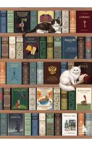Блокнот. Книжный шкаф. (А5, твердая обложка, 64 л.) (у.н.)