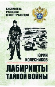 Лабиринты тайной войны: роман-хроника
