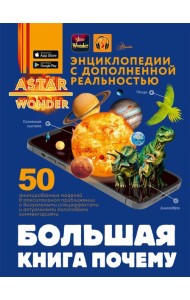 Большая книга почему