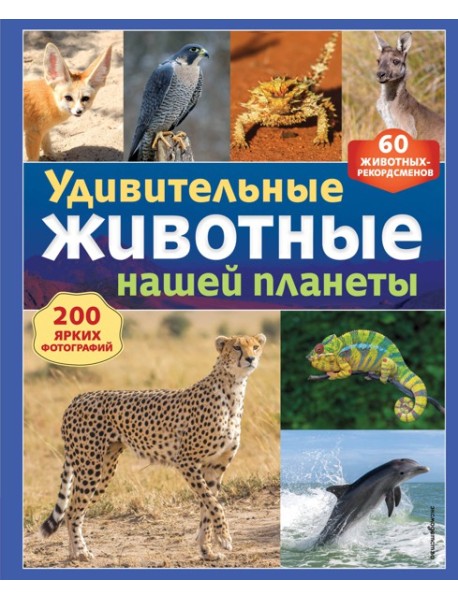 Удивительные животные нашей планеты