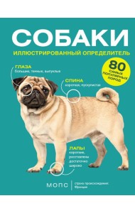 Собаки. 80 самых популярных пород. Иллюстрированный определитель