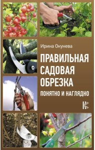 УрожайныеСоветы/Правильная садовая обрезка. Понятно и наглядно