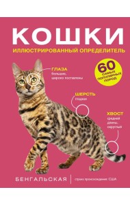 Кошки. 60 самых популярных пород. Иллюстрированный определитель