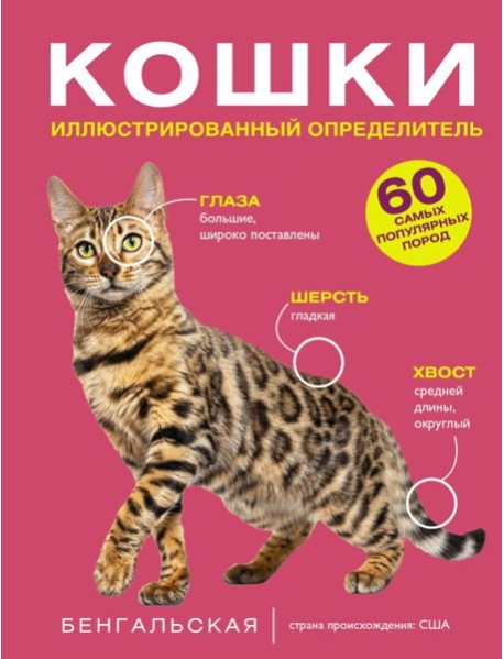 Кошки. 60 самых популярных пород. Иллюстрированный определитель