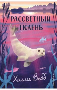 Рассветный тюлень