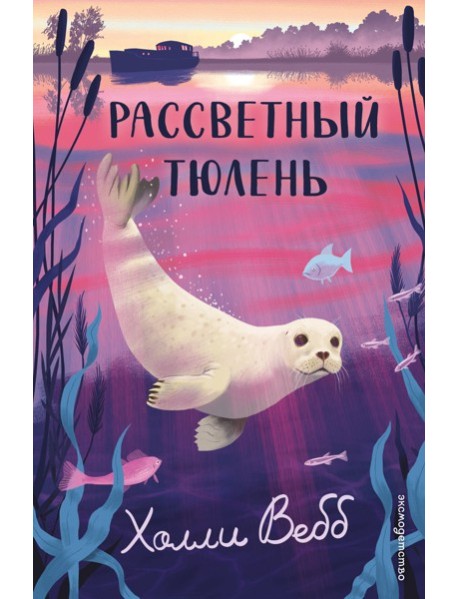 Рассветный тюлень