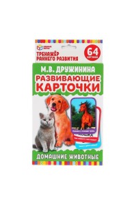 КАРТОЧКИ РАЗВИВАЮЩИЕ 