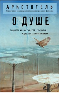 О душе